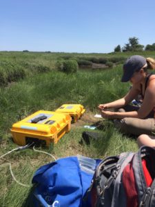 Long hot days in the marsh with the LGR