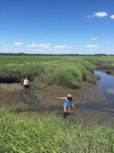 Why did the ecologists cross the marsh creek?