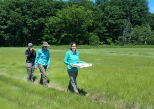 We had pizza delivered to the marsh... 